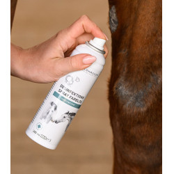 Spray désinfectant Waldhausen 200 ml Incolore Transparent
