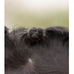 Set de tressage Waldhausen Noir
