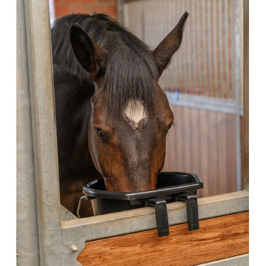 Seau d’écurie 20L robuste pour chevaux