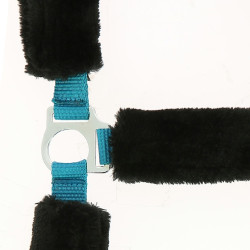 Licol Norton Full mouton synthétique Bleu électrique / noir