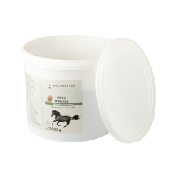 Complément minéral pour chevaux - Waldhausen