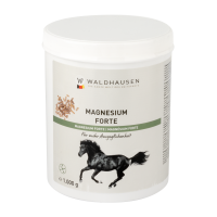 Magnesium Forte Waldhausen Magnesium Forte Waldhausen