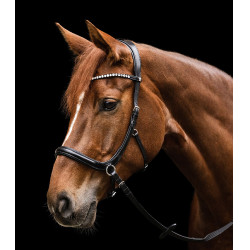 Bridon sans mors Sensation Waldhausen X-Line Noir