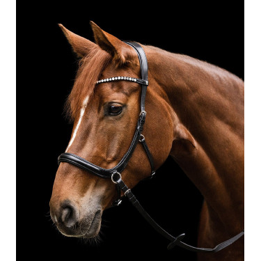 Bridon sans mors Sensation Waldhausen X-Line Noir