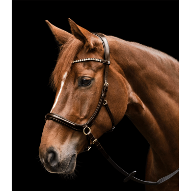 Bridon sans mors Sensation Waldhausen X-Line Marron