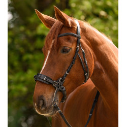 Bridon hackamore Waldhausen X-Line Noir