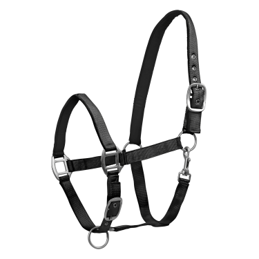 Licol Waldhausen Satin Noir