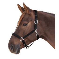 Licol Waldhausen Satin Noir