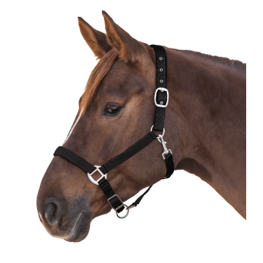 Licol Waldhausen Satin Noir