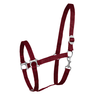 Licol Waldhausen Perlon Bordeaux Licol Waldhausen Perlon Bordeaux