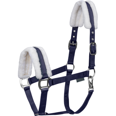 Licol Waldhausen First Bleu nocturne