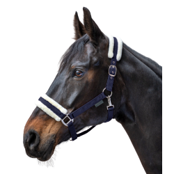 Licol Waldhausen First Bleu nocturne Licol Waldhausen First Bleu nocturne