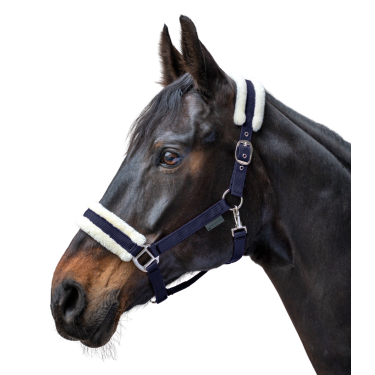 Licol Waldhausen First Bleu nocturne