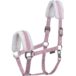 Halster paard Waldhausen First – ruitersport halster Halster paard Waldhausen First – ruitersport halster