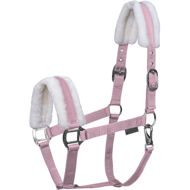 Halster paard Waldhausen First – ruitersport halster Halster paard Waldhausen First – ruitersport halster