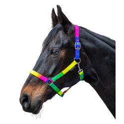 Licol Waldhausen Arc-en-ciel Néon multicolor Multi-couleurs