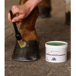 Waldhausen hoefvet 500 ml Groen