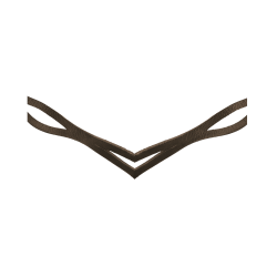 Filet Waldhausen Island anatomique Marron / doré