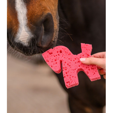 Eponge Waldhausen en forme de cheval Multicouleur Multi-couleurs
