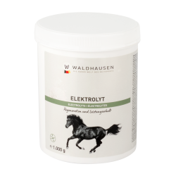 Paarden elektrolyten Waldhausen – herstel na inspanning