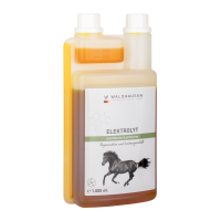 Electrolytes Liquid Waldhausen