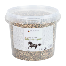 Echinacea supplement paard – immuniteit ondersteunen