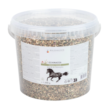 Echinacea supplement paard – immuniteit ondersteunen