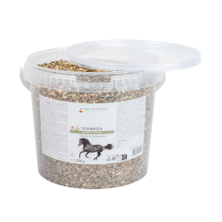 Echinacea supplement paard – immuniteit ondersteunen