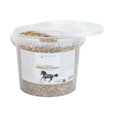 Echinacea supplement paard – immuniteit ondersteunen