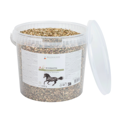 Echinacea supplement paard – immuniteit ondersteunen