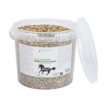 Echinacea supplement paard – immuniteit ondersteunen