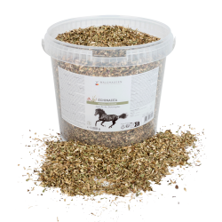 Echinacea supplement paard – immuniteit ondersteunen