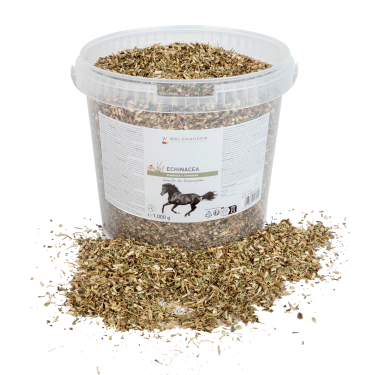 Echinacea supplement paard – immuniteit ondersteunen
