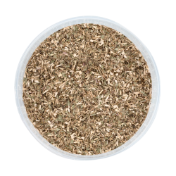 Echinacea supplement paard – immuniteit ondersteunen