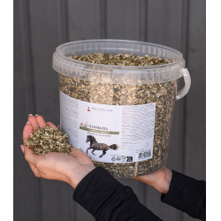 Echinacea supplement paard – immuniteit ondersteunen