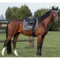 Tapis de Selle Dressage Night Collection Back On Track Gris