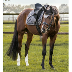 Tapis de Selle Dressage Night Collection Back On Track Gris