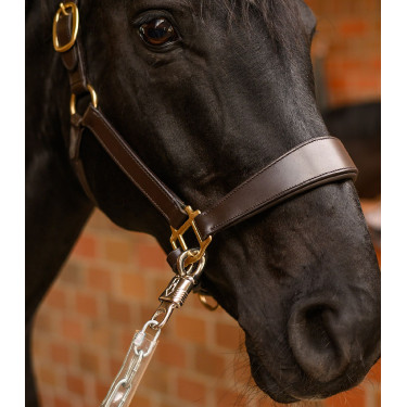 Paarden aanhalingsketting 55 cm – Waldhausen | Ruitersport