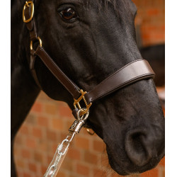 Chaîne d’attache équitation Waldhausen 150 cm