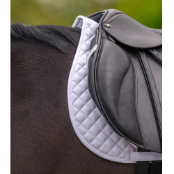 Zadeldek Waldhausen Felix Wit