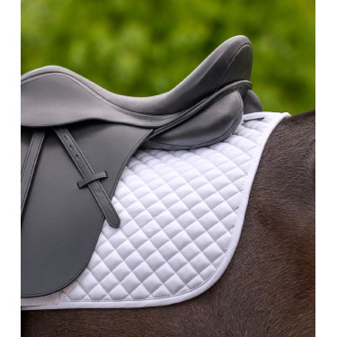 Zadeldek Waldhausen Felix Wit
