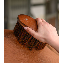 Brosse équitation douce Waldhausen pour poussière