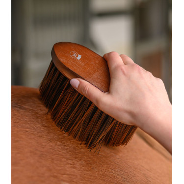 Paardenstofborstel HardWood Waldhausen – Rijden