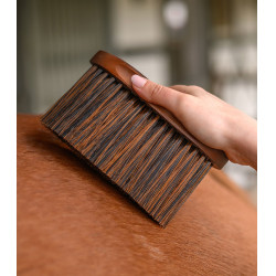 Paardenstofborstel HardWood Waldhausen – Rijden