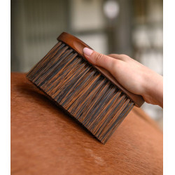 Paardenstofborstel HardWood Waldhausen – Rijden