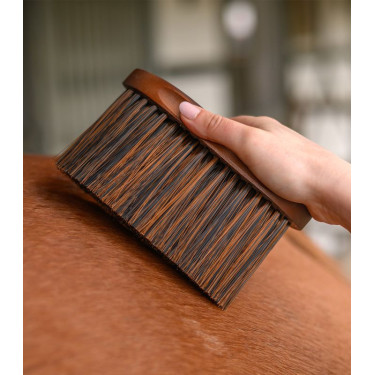 Paardenstofborstel HardWood Waldhausen – Rijden
