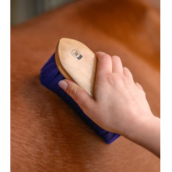 Brosse lustrante équitation Waldhausen bois naturel