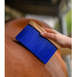 Brosse lustrante équitation Waldhausen bois naturel