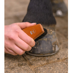 Hoefborstel voor paarden – HardWood Waldhausen Hoefborstel voor paarden – HardWood Waldhausen