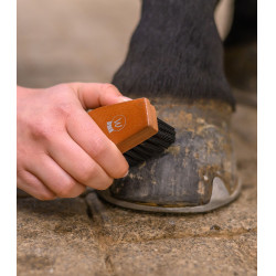 Brosse à sabots équitation Waldhausen robuste